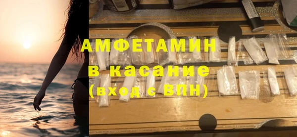 сатива Аркадак