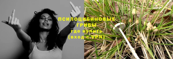 сатива Аркадак